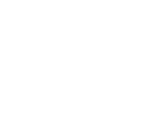 X3WEB client